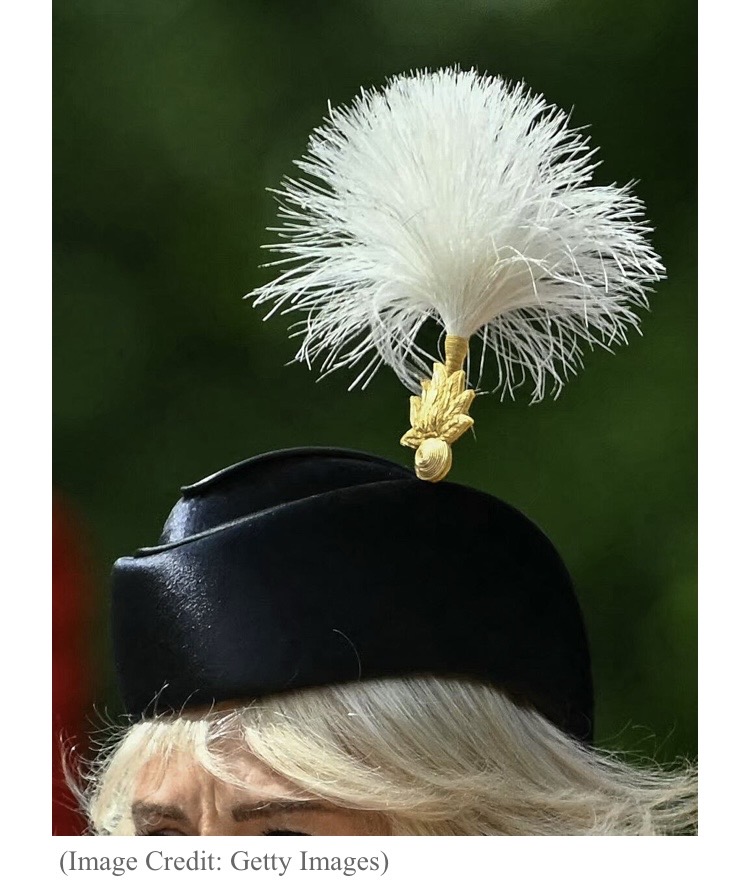 Queen Camilla Is Now A Colonel See Her Military Uniform Look With King Charles